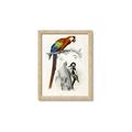 Picture of Feathered Friends _GroupedProduct_Rectangle_Portrait_Framed_Matted_