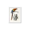 Picture of Feathered Friends _GroupedProduct_Rectangle_Portrait_Framed_Matted_