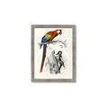 Picture of Feathered Friends _GroupedProduct_Rectangle_Portrait_Framed_Matted_