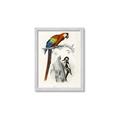 Picture of Feathered Friends _GroupedProduct_Rectangle_Portrait_Framed_Matted_