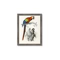 Picture of Feathered Friends _GroupedProduct_Rectangle_Portrait_Framed_Matted_