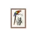 Picture of Feathered Friends _GroupedProduct_Rectangle_Portrait_Framed_Matted_