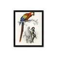 Picture of Feathered Friends _GroupedProduct_Rectangle_Portrait_Framed_Matted_