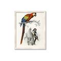 Picture of Feathered Friends _GroupedProduct_Rectangle_Portrait_Framed_Matted_