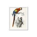 Picture of Feathered Friends _GroupedProduct_Rectangle_Portrait_Framed_Matted_