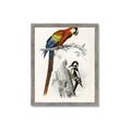 Picture of Feathered Friends _GroupedProduct_Rectangle_Portrait_Framed_Matted_