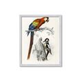 Picture of Feathered Friends _GroupedProduct_Rectangle_Portrait_Framed_Matted_