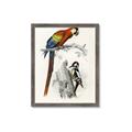 Picture of Feathered Friends _GroupedProduct_Rectangle_Portrait_Framed_Matted_