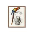 Picture of Feathered Friends _GroupedProduct_Rectangle_Portrait_Framed_Matted_