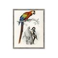 Picture of Feathered Friends _GroupedProduct_Rectangle_Portrait_Framed_Matted_