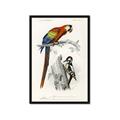 Picture of Feathered Friends _GroupedProduct_Rectangle_Portrait_Framed_Matted_