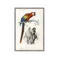 Picture of Feathered Friends _GroupedProduct_Rectangle_Portrait_Framed_Matted_