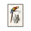 Picture of Feathered Friends _GroupedProduct_Rectangle_Portrait_Framed_Matted_
