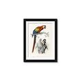 Picture of Feathered Friends _GroupedProduct_Rectangle_Portrait_Framed_Matted_