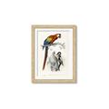 Picture of Feathered Friends _GroupedProduct_Rectangle_Portrait_Framed_Matted_