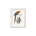 Picture of Feathered Friends _GroupedProduct_Rectangle_Portrait_Framed_Matted_