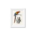 Picture of Feathered Friends _GroupedProduct_Rectangle_Portrait_Framed_Matted_