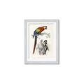 Picture of Feathered Friends _GroupedProduct_Rectangle_Portrait_Framed_Matted_