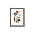 Picture of Feathered Friends _GroupedProduct_Rectangle_Portrait_Framed_Matted_