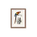 Picture of Feathered Friends _GroupedProduct_Rectangle_Portrait_Framed_Matted_