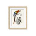 Picture of Feathered Friends _GroupedProduct_Rectangle_Portrait_Framed_Matted_