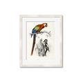 Picture of Feathered Friends _GroupedProduct_Rectangle_Portrait_Framed_Matted_