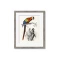 Picture of Feathered Friends _GroupedProduct_Rectangle_Portrait_Framed_Matted_