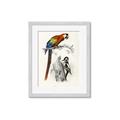 Picture of Feathered Friends _GroupedProduct_Rectangle_Portrait_Framed_Matted_