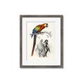 Picture of Feathered Friends _GroupedProduct_Rectangle_Portrait_Framed_Matted_