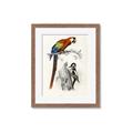 Picture of Feathered Friends _GroupedProduct_Rectangle_Portrait_Framed_Matted_