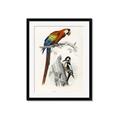 Picture of Feathered Friends _GroupedProduct_Rectangle_Portrait_Framed_Matted_