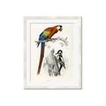 Picture of Feathered Friends _GroupedProduct_Rectangle_Portrait_Framed_Matted_