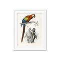 Picture of Feathered Friends _GroupedProduct_Rectangle_Portrait_Framed_Matted_