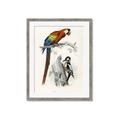Picture of Feathered Friends _GroupedProduct_Rectangle_Portrait_Framed_Matted_