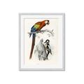Picture of Feathered Friends _GroupedProduct_Rectangle_Portrait_Framed_Matted_