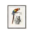 Picture of Feathered Friends _GroupedProduct_Rectangle_Portrait_Framed_Matted_