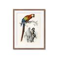 Picture of Feathered Friends _GroupedProduct_Rectangle_Portrait_Framed_Matted_