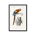 Picture of Feathered Friends _GroupedProduct_Rectangle_Portrait_Framed_Matted_