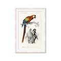 Picture of Feathered Friends _GroupedProduct_Rectangle_Portrait_Framed_Matted_