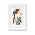 Picture of Feathered Friends _GroupedProduct_Rectangle_Portrait_Framed_Matted_