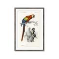 Picture of Feathered Friends _GroupedProduct_Rectangle_Portrait_Framed_Matted_