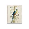 Picture of Five Birds _GroupedProduct_Rectangle_Portrait_Framed_Matted_