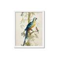 Picture of Five Birds _GroupedProduct_Rectangle_Portrait_Framed_Matted_