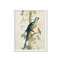 Picture of Five Birds _GroupedProduct_Rectangle_Portrait_Framed_Matted_