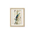 Picture of Five Birds _GroupedProduct_Rectangle_Portrait_Framed_Matted_