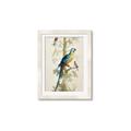 Picture of Five Birds _GroupedProduct_Rectangle_Portrait_Framed_Matted_