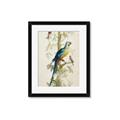 Picture of Five Birds _GroupedProduct_Rectangle_Portrait_Framed_Matted_