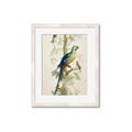 Picture of Five Birds _GroupedProduct_Rectangle_Portrait_Framed_Matted_