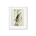 Picture of Five Birds _GroupedProduct_Rectangle_Portrait_Framed_Matted_