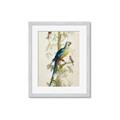 Picture of Five Birds _GroupedProduct_Rectangle_Portrait_Framed_Matted_